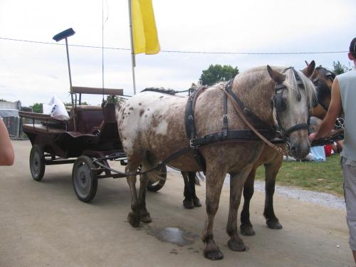 la Voiture Balai